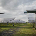 Maximizing Agricultural Productivity with Solar Photovoltaic Systems